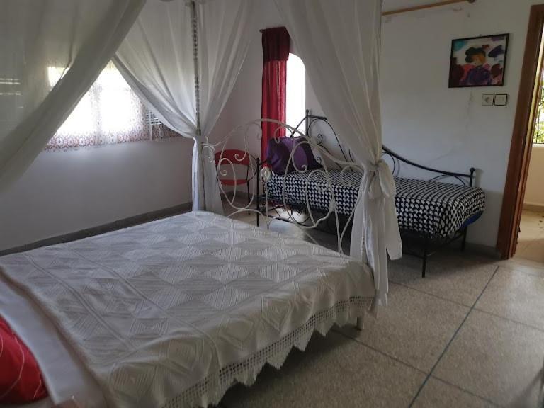 Apartamento Le Jardin D'Habiba Rhorm el Alem Habitación foto