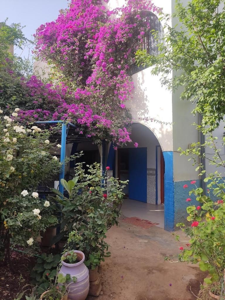 Apartamento Le Jardin D'Habiba Rhorm el Alem Exterior foto