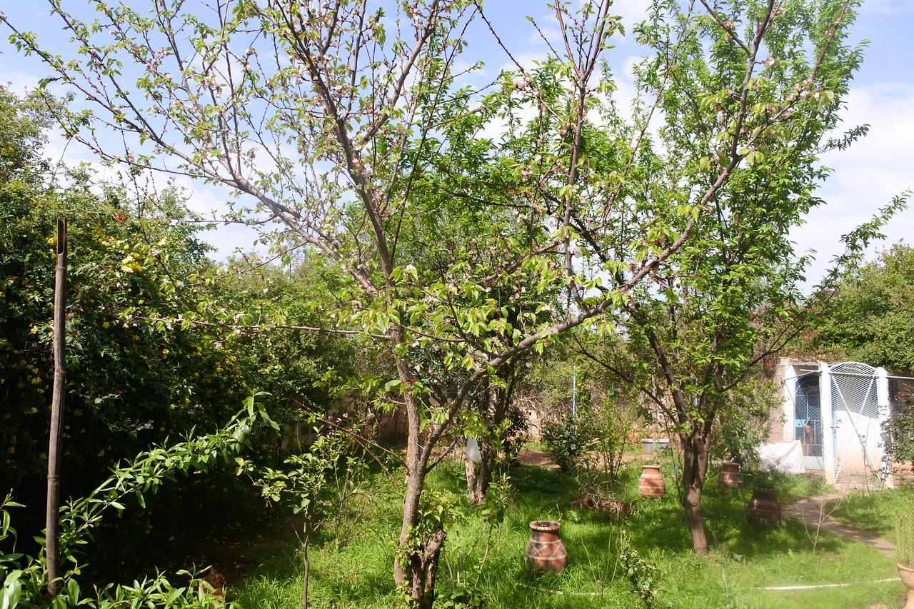 Apartamento Le Jardin D'Habiba Rhorm el Alem Exterior foto