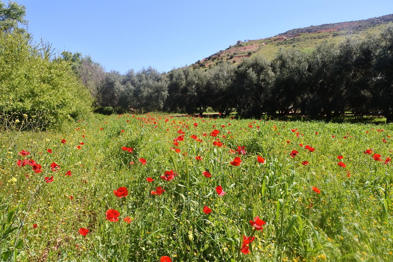 Apartamento Le Jardin D'Habiba Rhorm el Alem Exterior foto